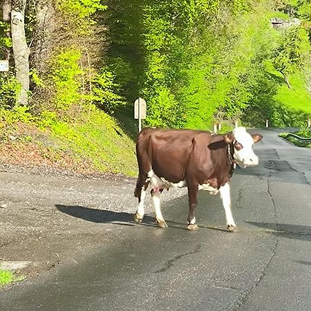 A Cordon Entre Bois Et Nature エクステリア 写真