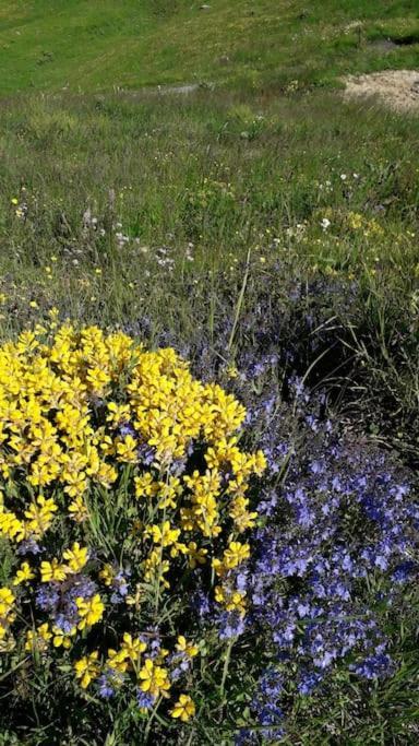 A Cordon Entre Bois Et Nature エクステリア 写真